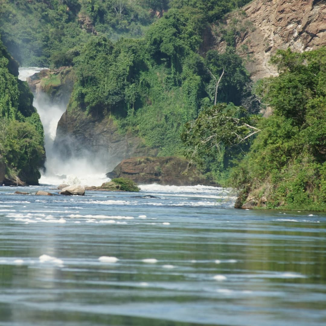 Murchison Falls National Park