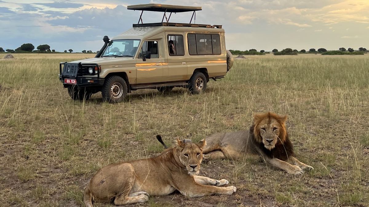 Big Five Safari Uganda