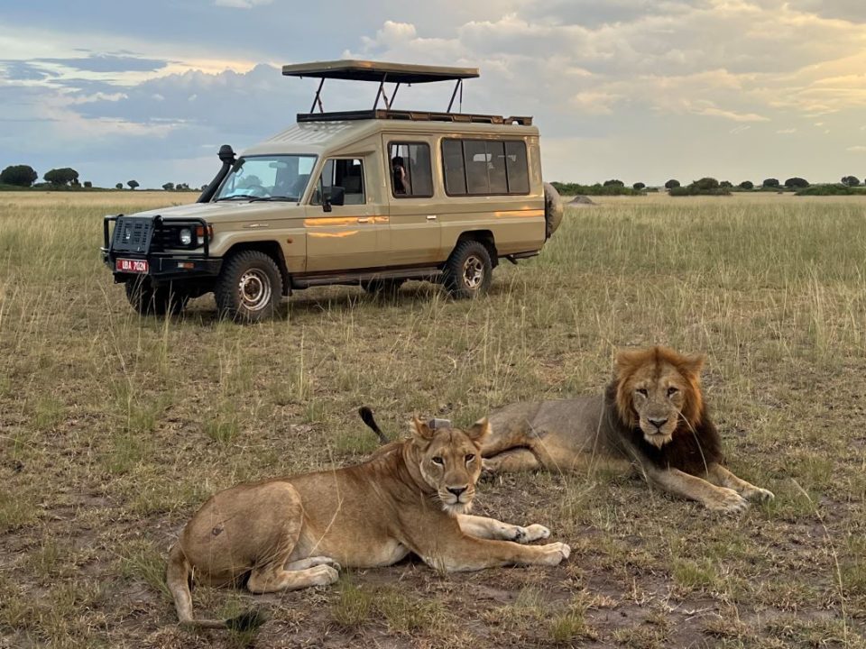 Big Five Safari Uganda