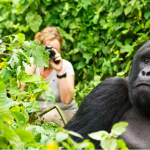 First Gorilla Trekking Adventure