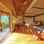 Luxury vs Budget Safaris