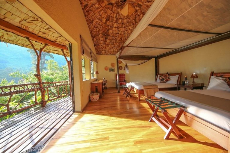 Luxury vs Budget Safaris
