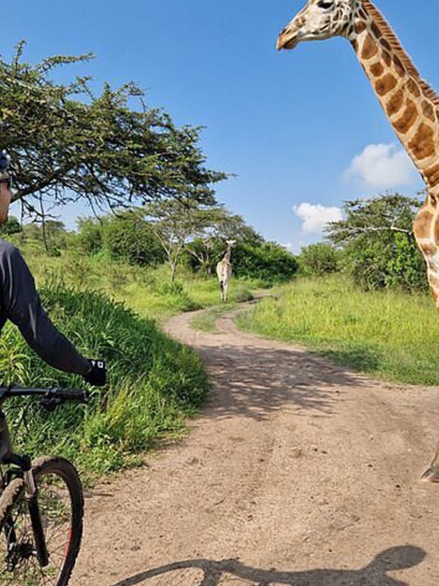 Cycling Safaris in Uganda