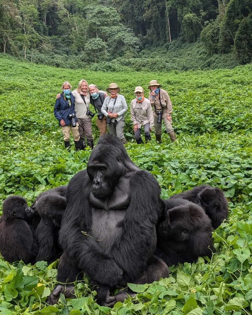 Botswana and Gorilla Trekking