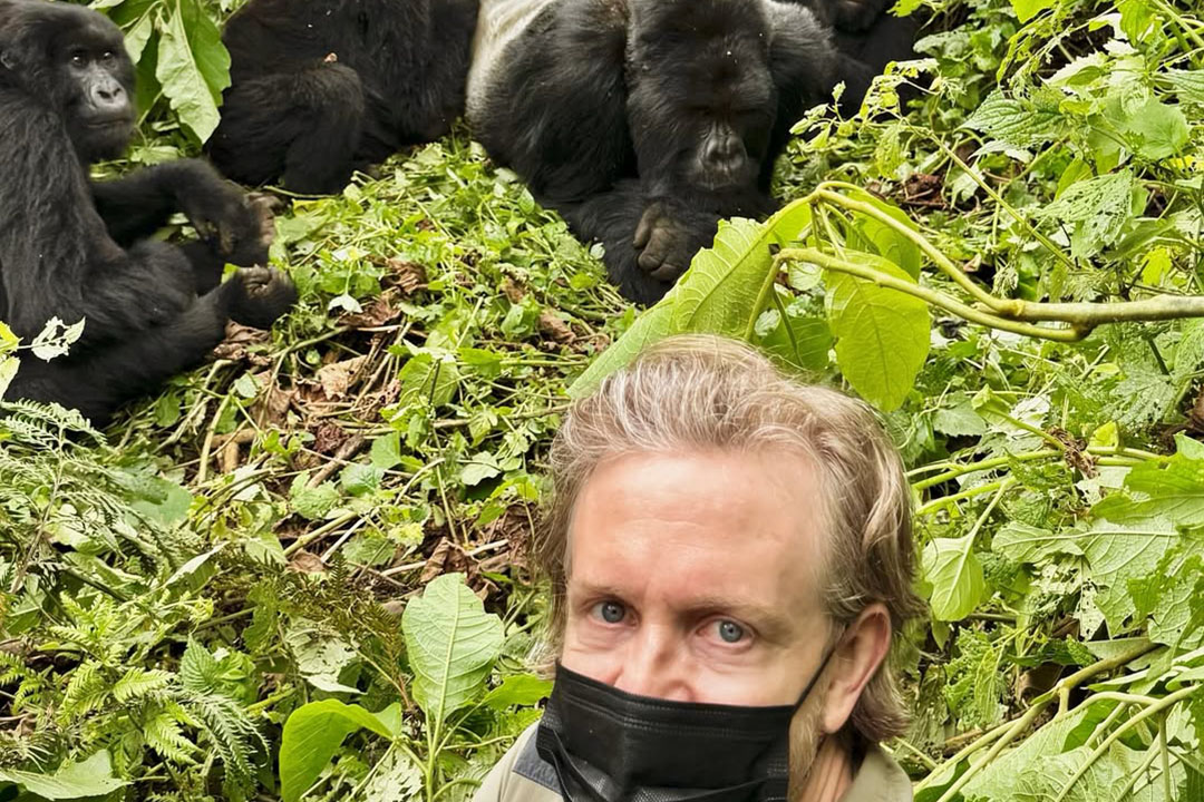 What Is Gorilla Trekking?