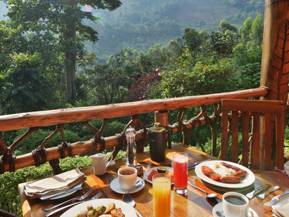 Mahogany Springs Lodge