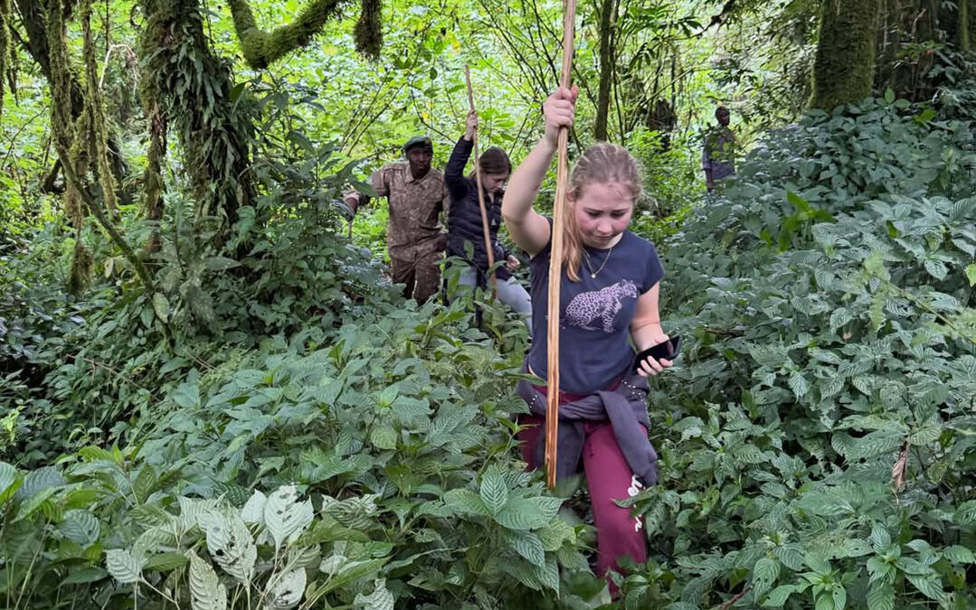 Gorilla Trekking from Tanzania