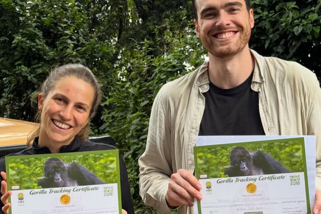 How to Book Gorilla Permits
