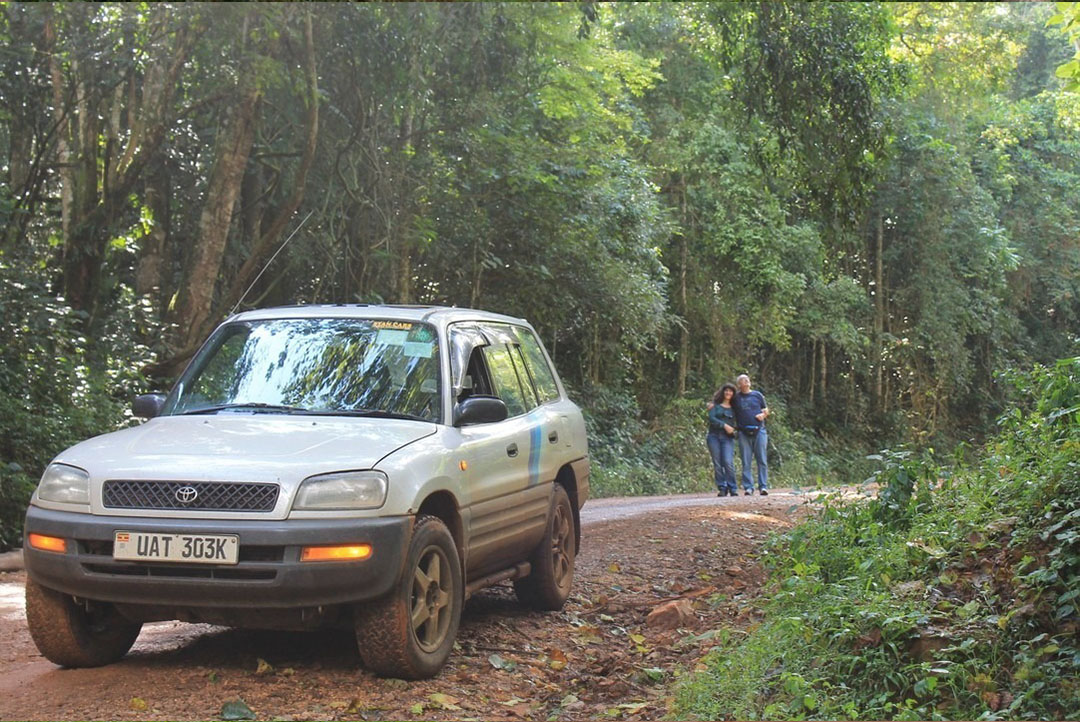 Self Drive Car Rental