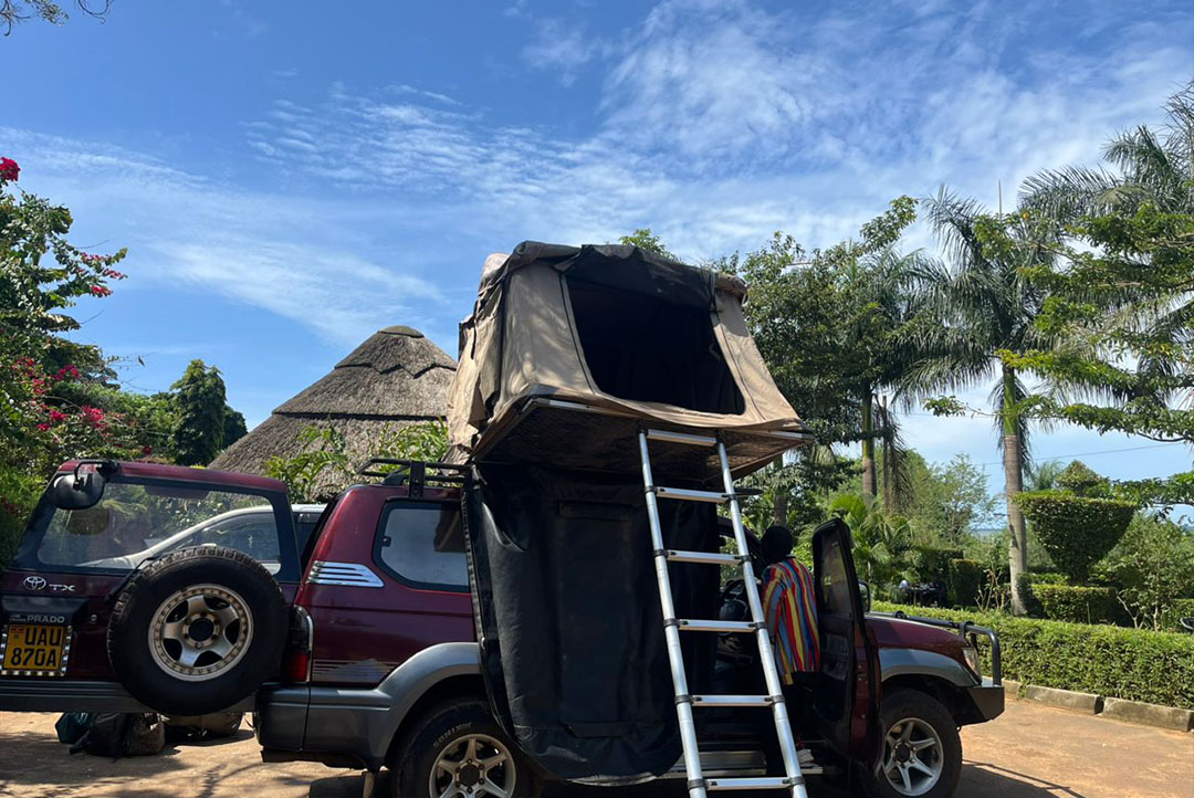 Self Drive Car Rental