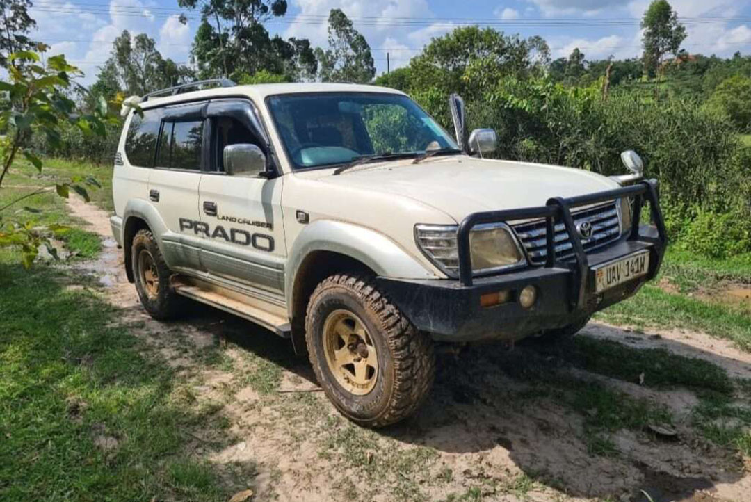 Self Drive Car Rental