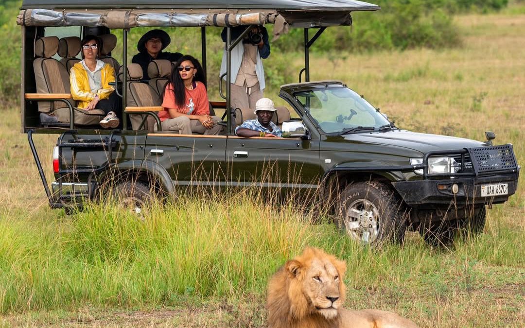 Uganda Safari from Denmark