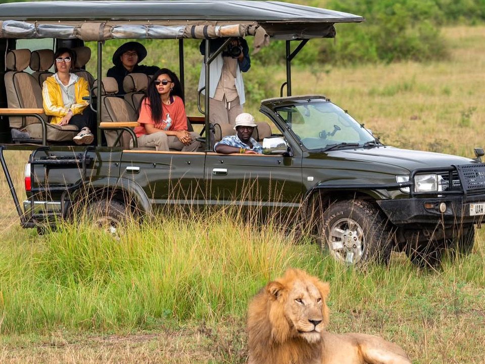 Uganda Safari from Denmark