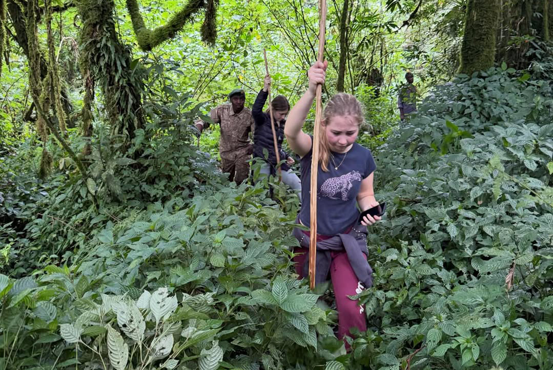 Uganda Gorilla Trekking Guide