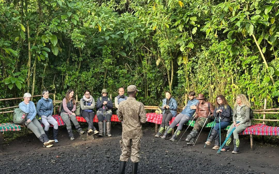 Uganda Gorilla Trekking Permits 2026