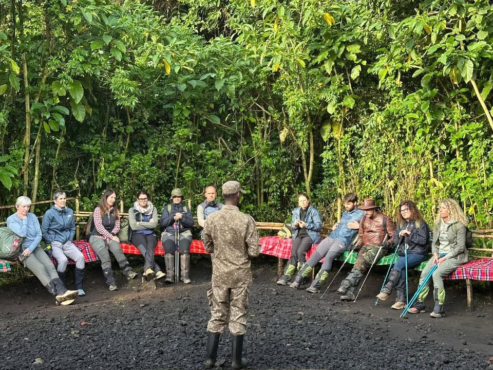 Uganda Gorilla Trekking Permits 2026