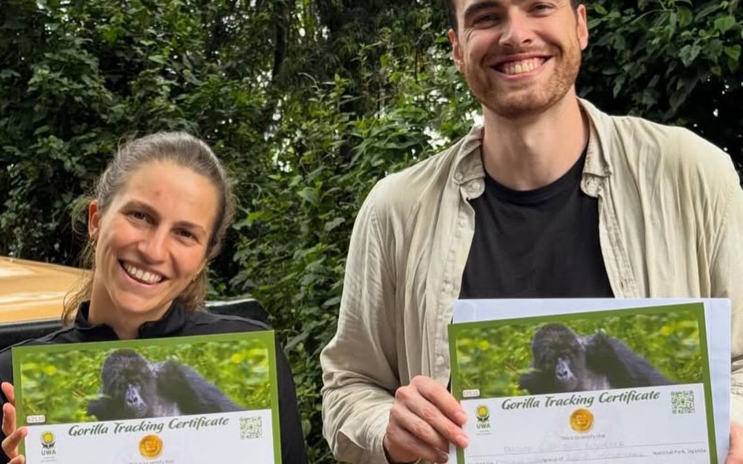Uganda Gorilla Trekking Guide