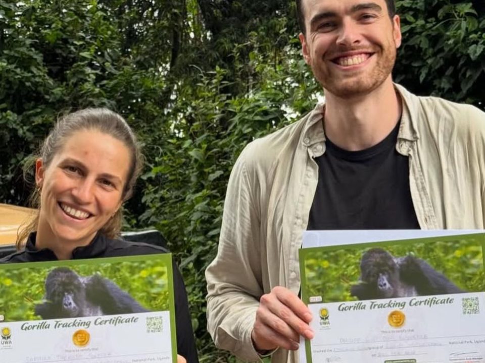 Uganda Gorilla Trekking Guide