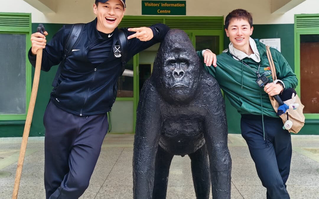 Is Gorilla Trekking Worth it