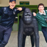 Is Gorilla Trekking Worth it