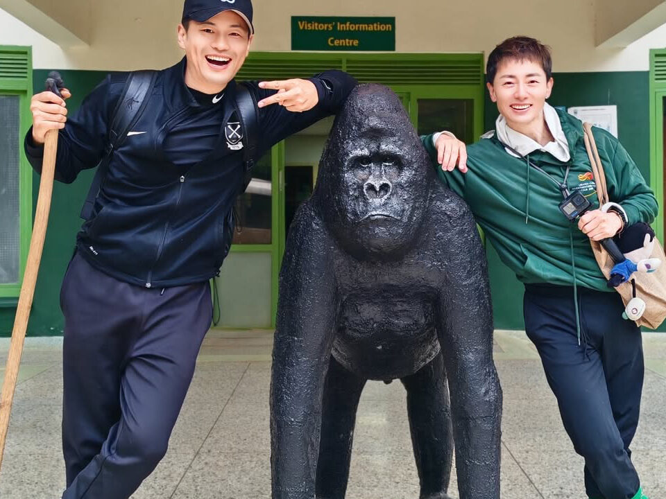 Is Gorilla Trekking Worth it