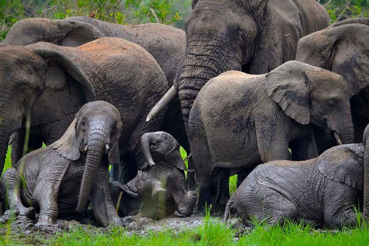 Rwanda