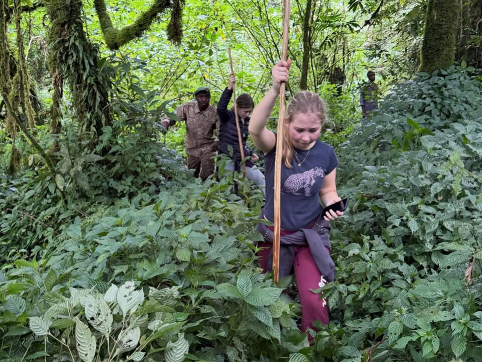 Solo women travel safely in Rwanda and Uganda
