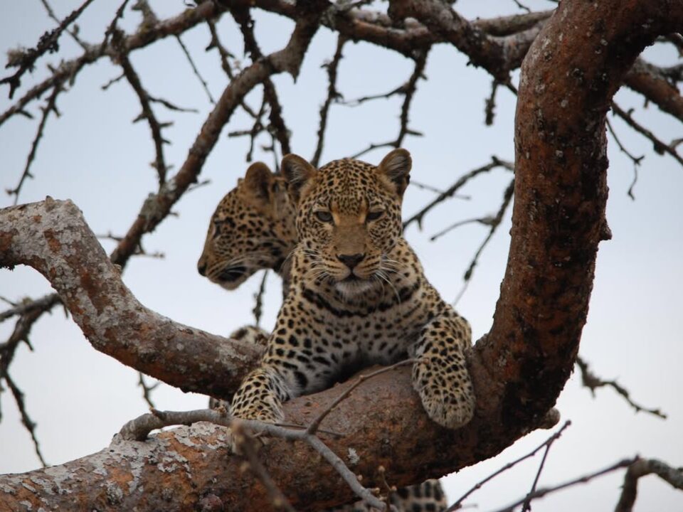 Best Time to Visit Rwanda