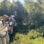 Rwanda vs Uganda Gorilla