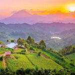 Uganda Strengthens Its Global Tourism Voice