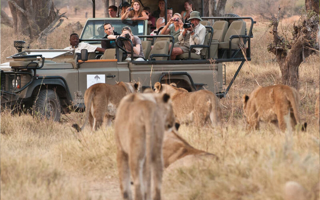 Botswana Safari Tours & Holidays