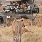 Botswana Safari Tours & Holidays