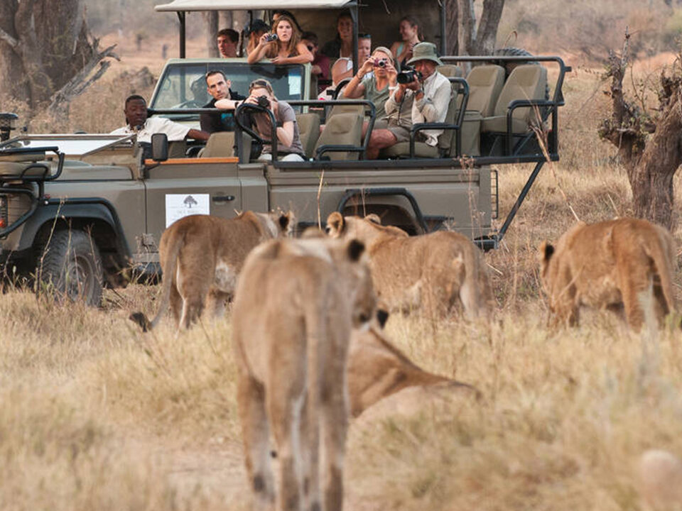Botswana Safari Tours & Holidays