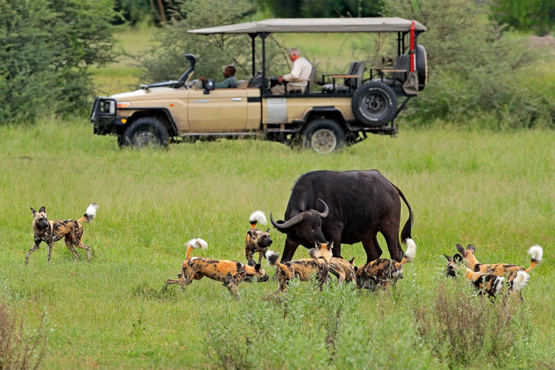 protected area on the eastern side of the Okavango Delta