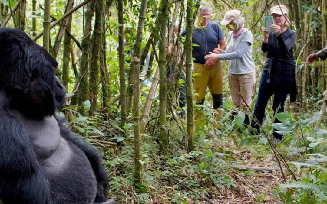 9 Days Rwanda Safari Tour