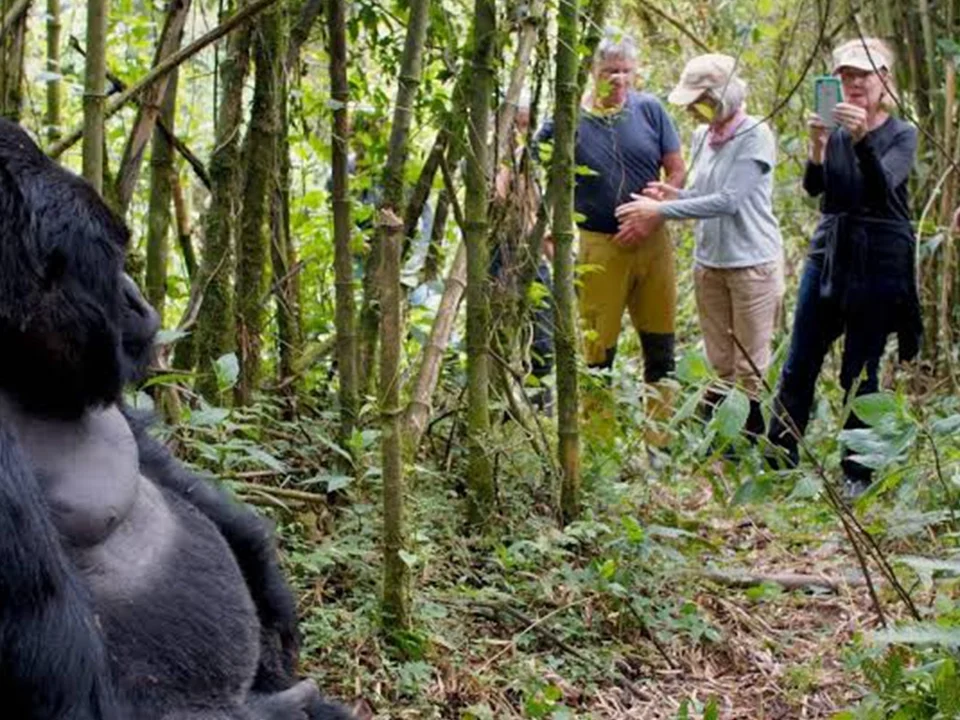 9 Days Rwanda Safari Tour