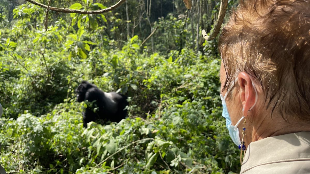 Why Uganda Stole My Heart